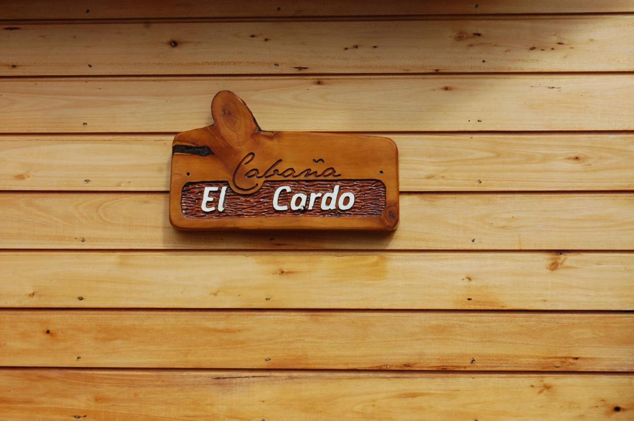 Parajes Del Lejano Sur El Cardo *